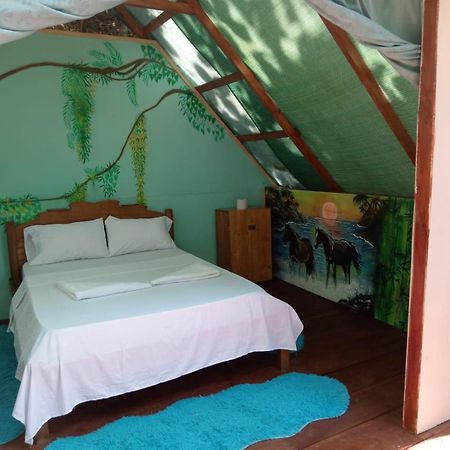 Pirate Drake Beach Hostel & Tour Company Drake Bay Ngoại thất bức ảnh