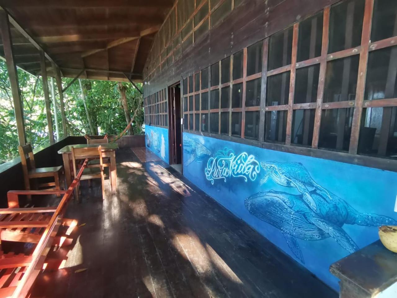 Pirate Drake Beach Hostel & Tour Company Drake Bay Ngoại thất bức ảnh