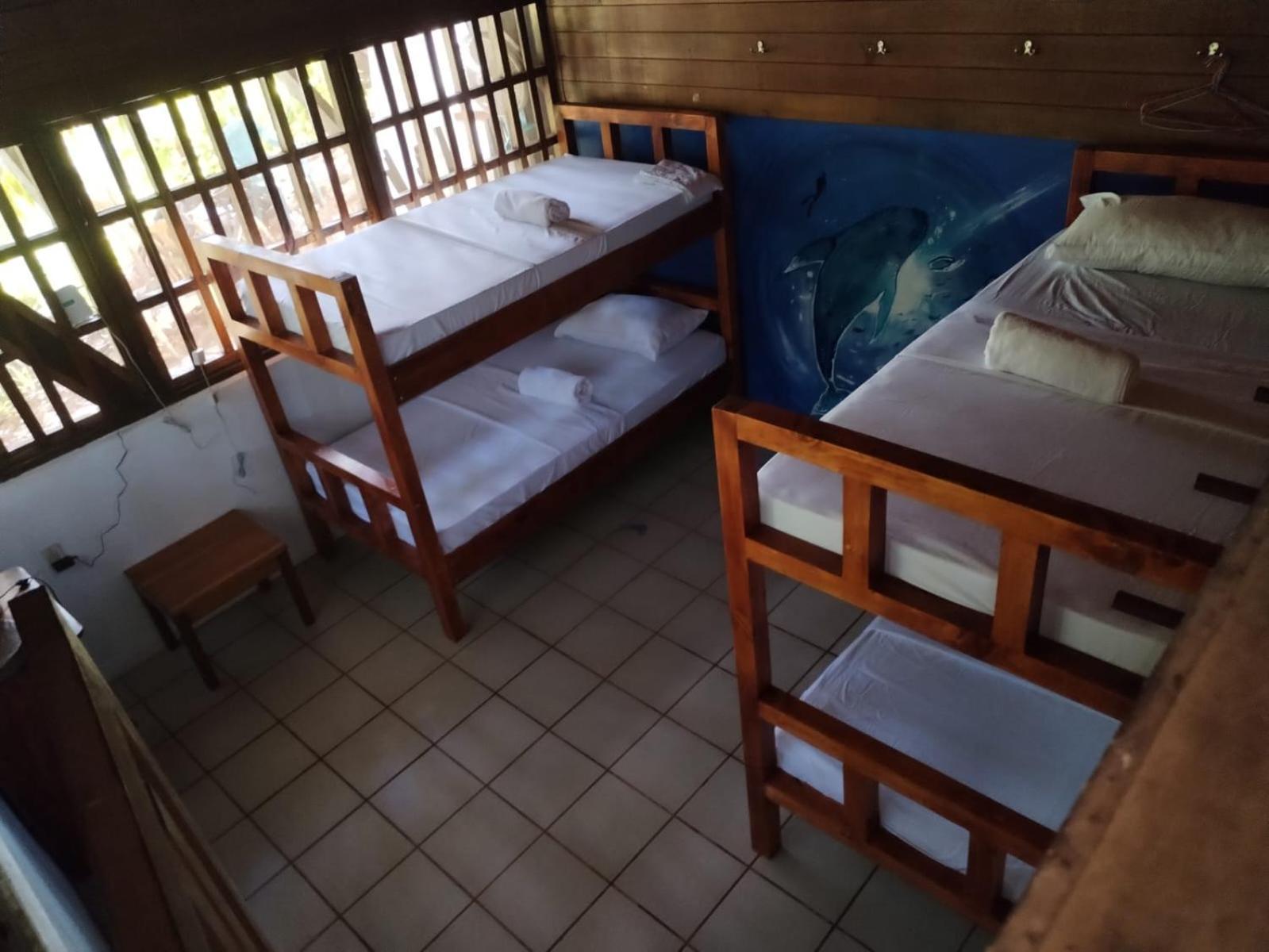Pirate Drake Beach Hostel & Tour Company Drake Bay Ngoại thất bức ảnh