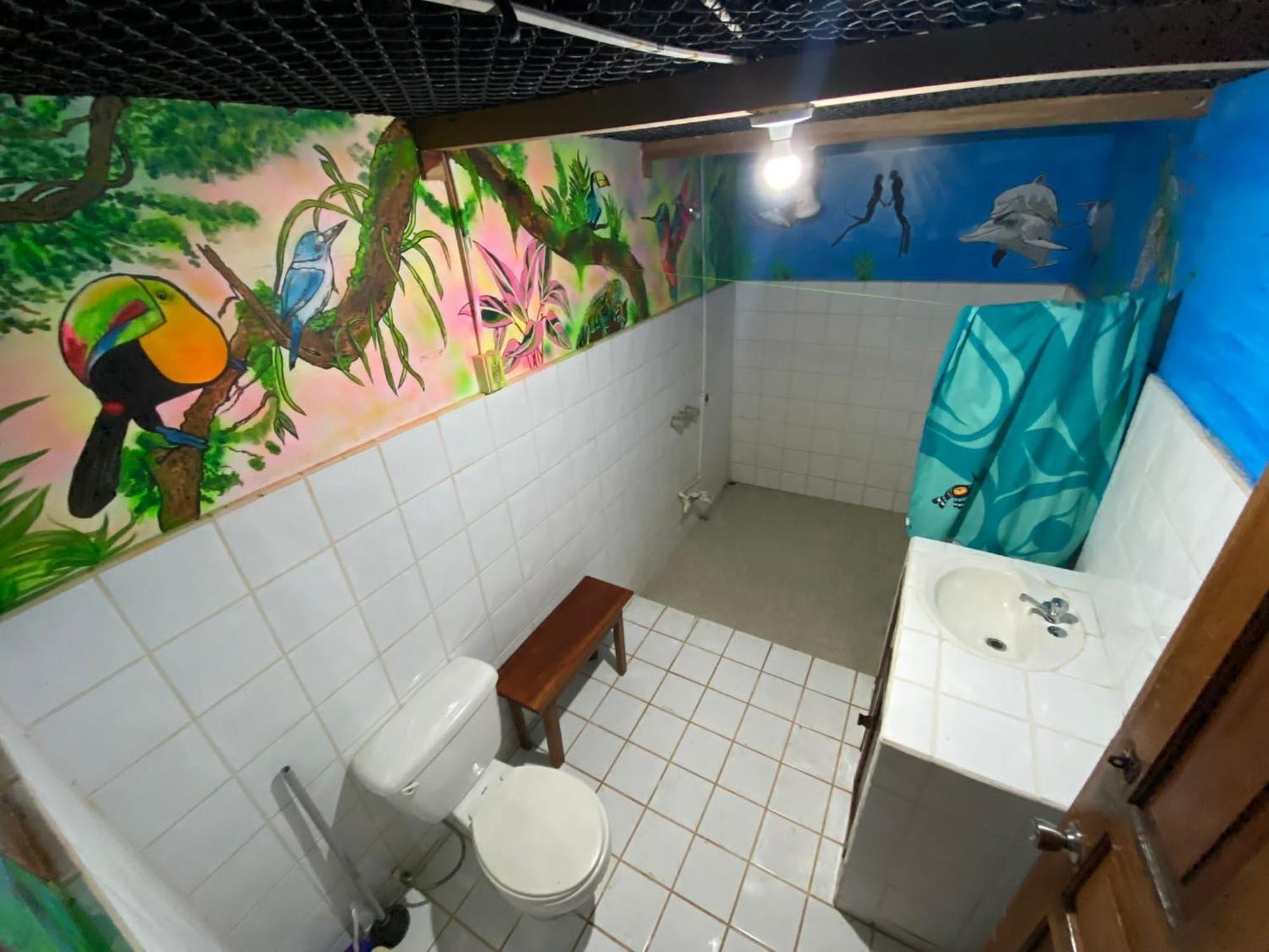 Pirate Drake Beach Hostel & Tour Company Drake Bay Ngoại thất bức ảnh