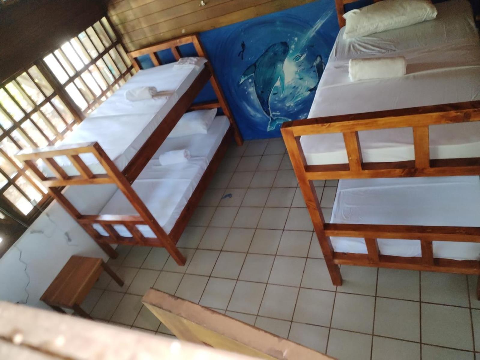 Pirate Drake Beach Hostel & Tour Company Drake Bay Ngoại thất bức ảnh