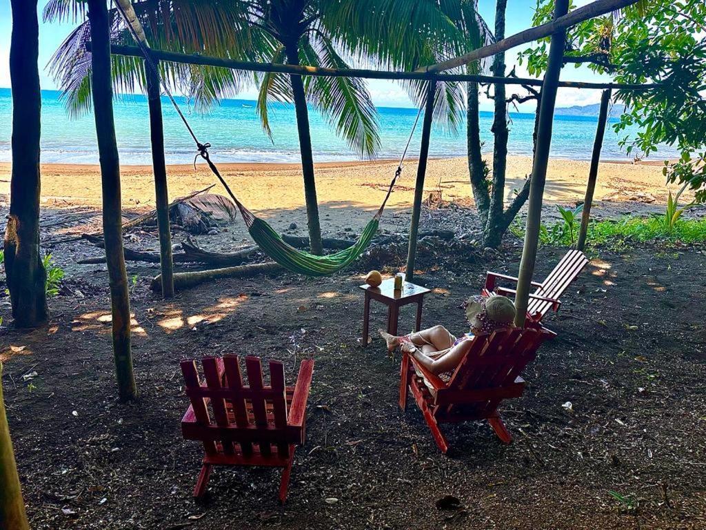 Pirate Drake Beach Hostel & Tour Company Drake Bay Ngoại thất bức ảnh