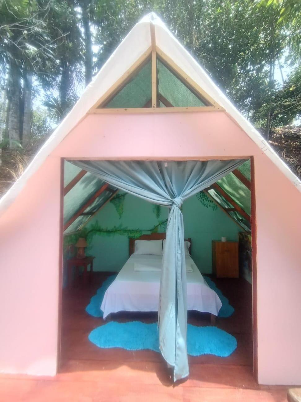 Pirate Drake Beach Hostel & Tour Company Drake Bay Ngoại thất bức ảnh